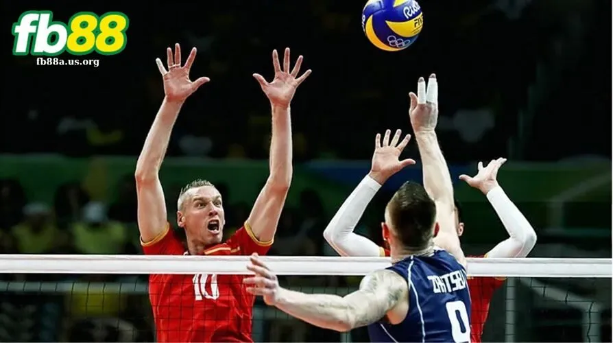 Người chơi cần xem thông tin để quyết định một cửa cược