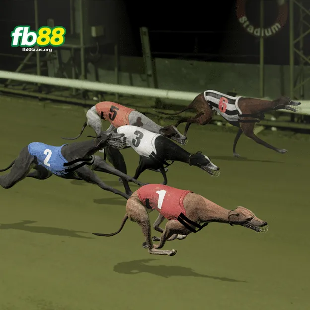 Tại Sao Chọn Fb88 Có Đua Chó Ảo?