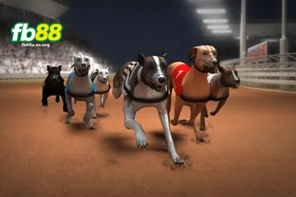 Đua Chó Ảo Là Sao?
