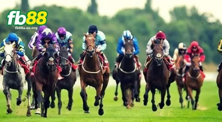 Những kèo cược đua ngựa siêu ưa chuộng hấp dẫn